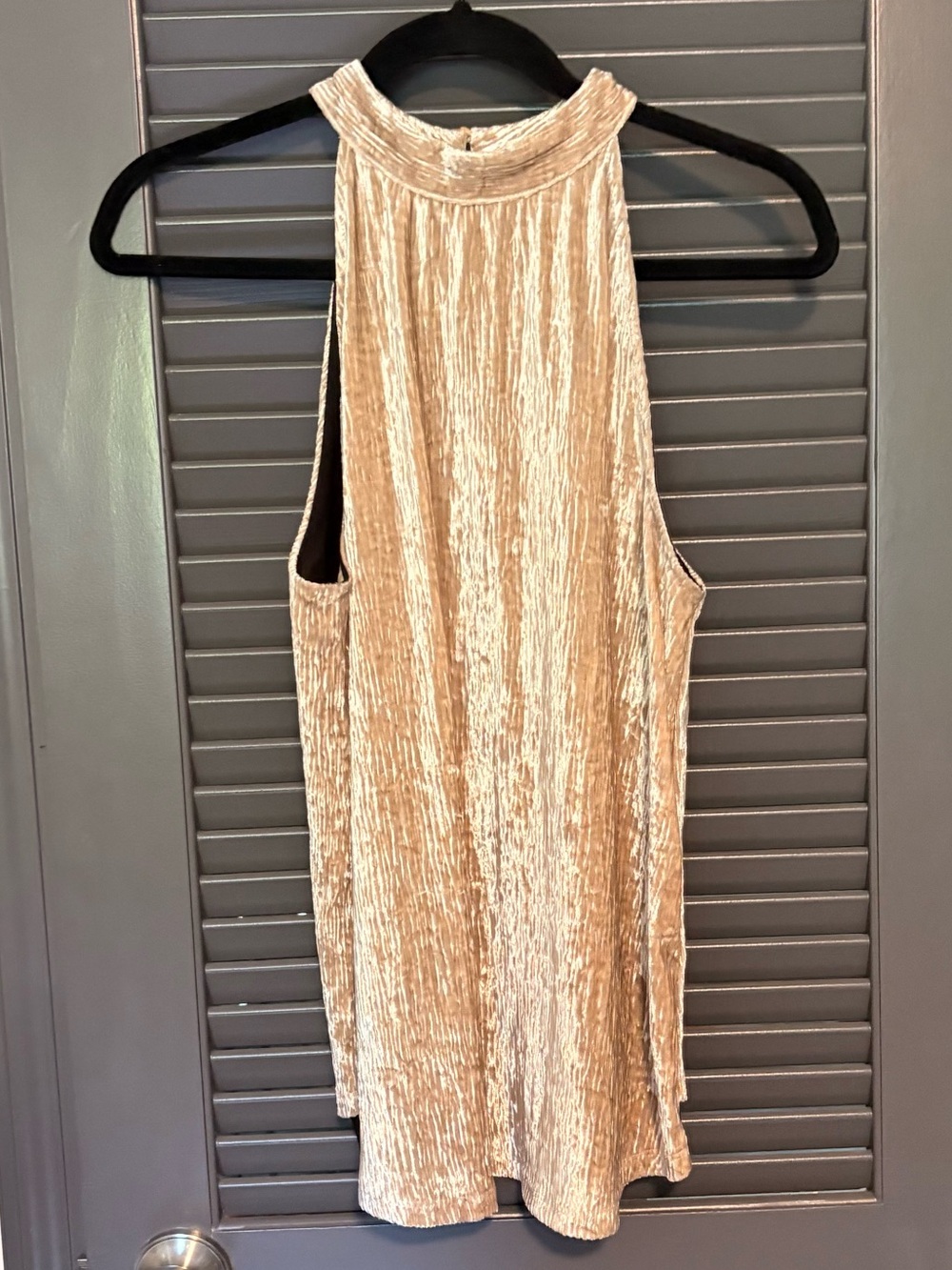 THML Champagne Crushed Velvet High Neck Tank
